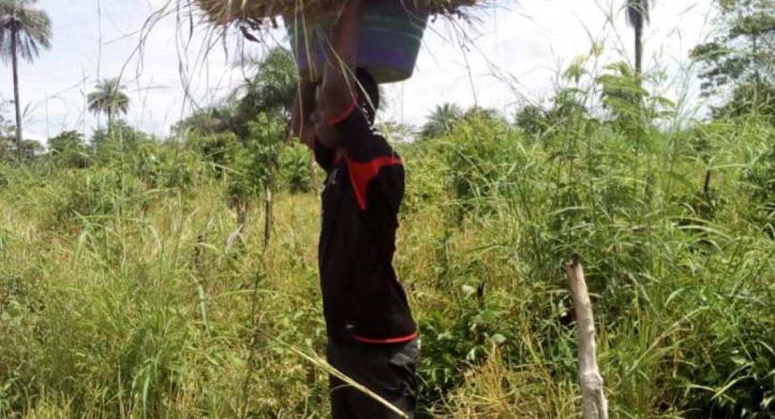 Agricultural Program