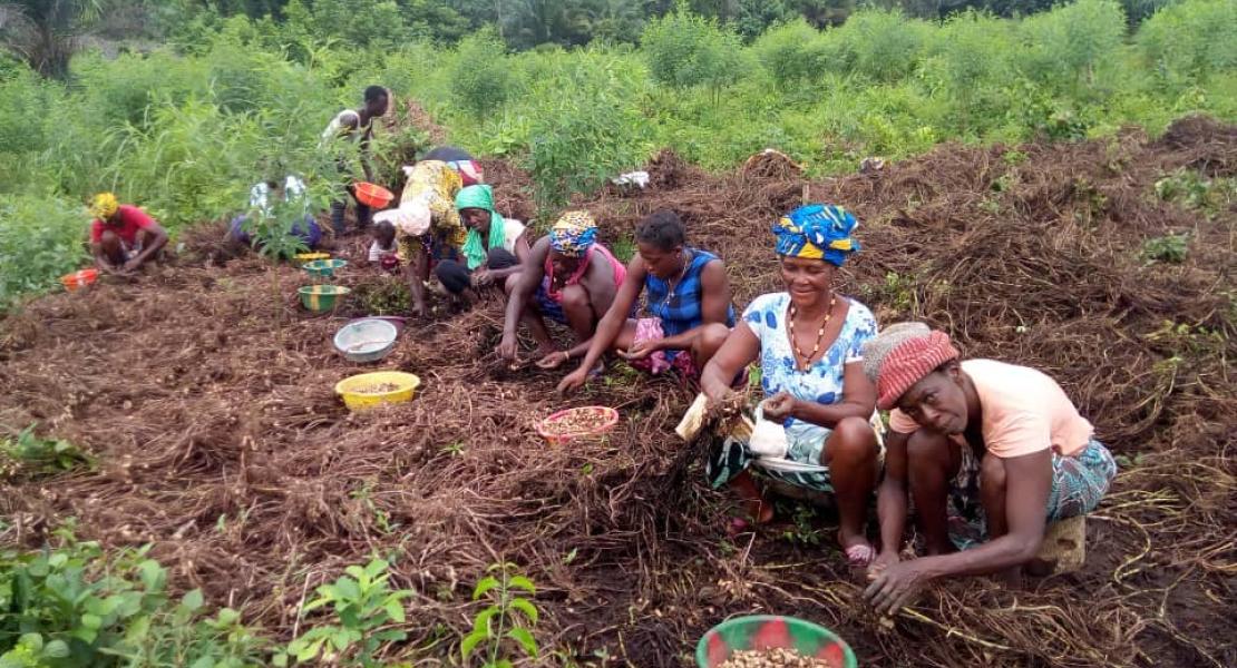 Agricultural Program