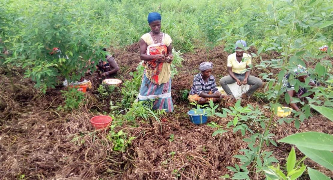 Agricultural Program