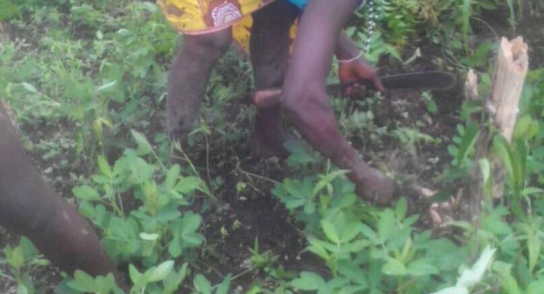 Agricultural Program